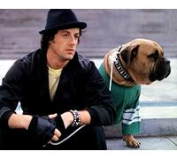 Rocky II (1979) Sylvester Stallone 10x8 Photo