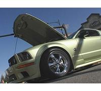 Rocky Mountain Mustang Roundup
