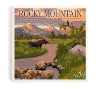 Rocky Mountain National Park, Colorado, Moose and Meadow (Absorbent Ceramic Coaster, Single, Cork Back, Kitchen Table Decor)
