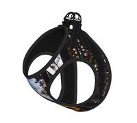 Rocky Mountain Range Print Pet Leash Vest,Breathable Mesh Pet Harness, Reflective For Small Medium Dogs Safe Easy Walking