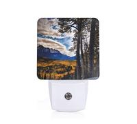 Rocky Mountain Range Print Plug-in Night Light for Bedroom Hallway Dorm Living Room Illumination Home Decor