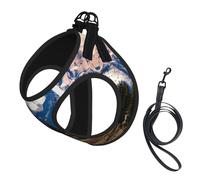 Rocky Mountains Print Reflective No Choke Pet Vest Harness,Adjustable Soft Padded Dog Harness With Easy Control Handle