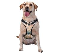 Rocky Mountains Wildflowers Pine Trees No Pull Dog Harness Adjustable Reflective Oxford Easy Control Medium Large Dog Harness