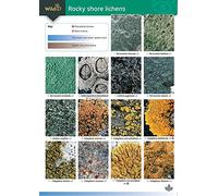 Rocky Shore Lichens (WildID)
