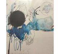 Rocky Votolato - Wild Roots [VINYL]