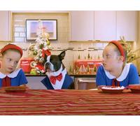 Rocky You're the Man