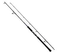 Rod 19Grappler Type Jig Spin