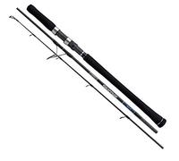 Rod 20Game Type Jigging Spin