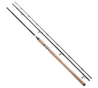 Shimano Fishing Speedmaster Salmon Bottom Shipping Rod Silver 3.35 m / 30-80 g