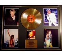 ROD STEWART/GIGANTIC CD GOLD DISC/RECORD & PHOTO DISPLAY/LTD. EDITION/COA/THE VERY BEST OF