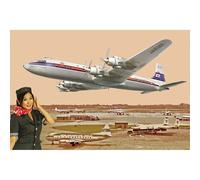 Roden 303 Douglas DC-7C Japan Air Lines 1:144 Model Kit