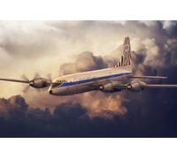 Roden 326 - 1:144 Bristol 175 Britannia African Safari - New