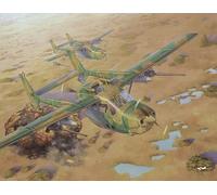 Roden 628 1:32nd scale Reims FTB337G Lynx "Bush War" Rhodesian Air force