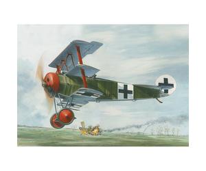 Roden ROD601 Fokker Dr.I 1:32 Model Kit