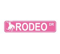 Rodeo Sign, Rodeo Fan, Rodeo Participant, Rodeo Gift, Cowboy Cowgirl Gift, Horse Show Lover Street Metal Sign for Home Patio Garden Bar Farm House Garage Pink Wall Decor 16 X 4 Inch