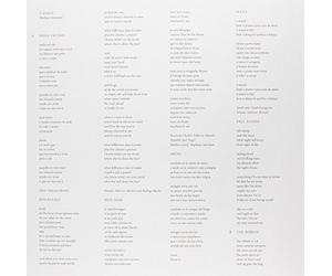 Rodrigo Amarante - Cavalo [Vinyl LP] [VINYL]