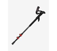 Altus Acebo H30 Poles Black 60-125 cm