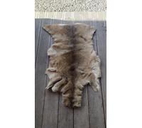 Roebuck roe deer hide skin fur pelt area rug carpet natural medical healing warm chair seat cushion pad sofa bed throw over floor warming.