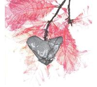 Roedelius, Hans Joachim - Romance in the Wilderness