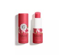 Roger Amp, Gallet Gingembre Rouge Lip Stick 3.5g