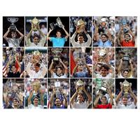 Roger Federer Top Tennis Player Sports jigsaw puzzle game for adults and kids BA0079 300 Piece