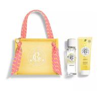 Roger Gallet Summer Bag (perfume 30ml + Gel Douche 50ml)