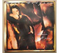 Roger Hodgson - Hai hai (1987) [VINYL]