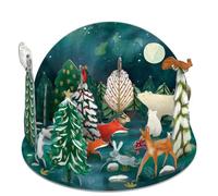 Roger la Borde - Northern Lights - Pop & Slot 3D Advent Calendar - POPA401