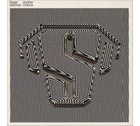 Roger Sanchez - Another Chance [12" VINYL]