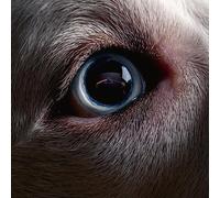 ROGER WATERS - DARK SIDE OF THE MOON REDUX [VINYL]