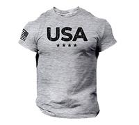 Rogue Style USA Stars Flag Men T Shirt American Gym Workout Cotton Tee, Gray, Medium