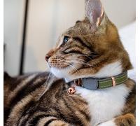 Rogz URBAN Cat Collar Olive Twist with break-away safety buckle
