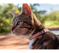 Rogz URBAN Cat Collar Pink Blush with break-away safety buckle