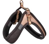 ROGZ Urban Harness (Gold) (Small) (34-40Cm)
