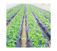 ROJDFCNBW Garden Grow Polythene Cover Sheets, Thicken 0.014mm Black Agriculture Shade PE Film(0.014mm 1X50M)