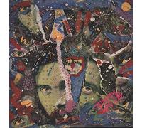 Roky Erickson - The Evil One [VINYL]