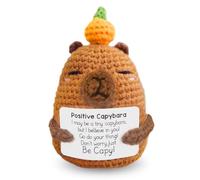 ROKZELT Capybara Plush Positive, Crochet à la Main Cadeau Positif, Mignon Créatif Positive Capybara avec Carte, Cadeau Message Positif Capibara pour Petite Amie, Votre Femme, Votre Fille