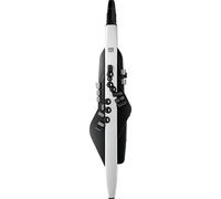 Roland Ae-20 Aerophone