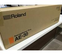 Roland Aerophone Pro AE-30