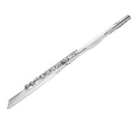 Roland Aerophone Brisa digital wind instrument