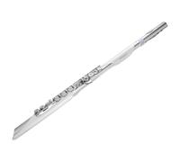 Roland Aerophone Brisa Digital Wind Instrument