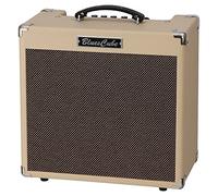 Roland Blues Cube Hot VB