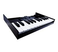 Roland Boutique K-25M Keyboard Unit, Portable Keyboard for Roland Bout