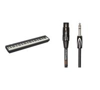 Roland FP-10 88-Note Digital Piano with Black Series Balanced Cable 1.5m TRS-XLR