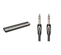 Roland FP-10 88-Note Digital Piano with Black Series Stereo Cable 1m