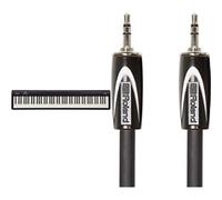 Roland FP-10 88-Note Digital Piano with Black Series Stereo Cable 3m