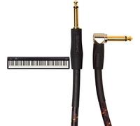 Roland FP-10 88-Note Digital Piano with Gold Series Instrument Cable 5ft Angled