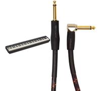 Roland FP-10 88-Note Digital Piano with Gold Series Patch Cable 3m Angled