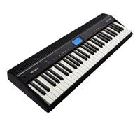 Roland GO-61P GO:PIANO 61-Note Digital Piano