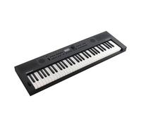 Roland - GO:KEYS 5, 61-Key Music Creation Keyboard with Mic Input & Built-In Spe